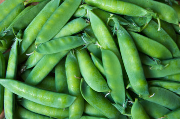 Ripe and organic pea pod