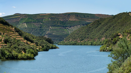 Obraz na płótnie Canvas Point of view shot of terraced vineyards in Douro Valley