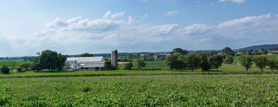Amish country farmland