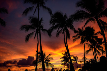 Hawaii night