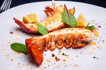 Lobster tail in maple-truffle sauce with lemon and basil