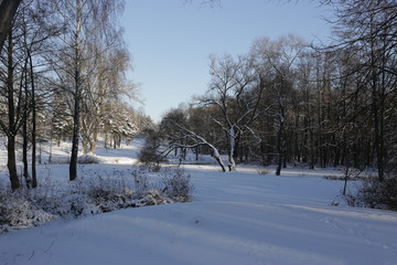 winter