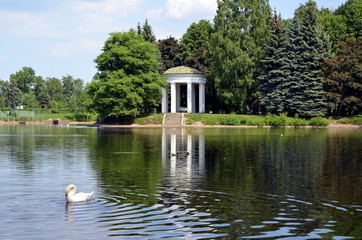 Fototapeta na wymiar Gazebo Rotunda on the shore of Swan Pond. Krestovsky Island, St. Petersburg, Russia