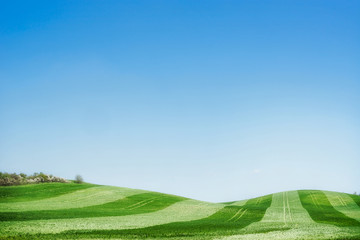 Beautiful summer landscape background , outdoor nature background for a Web site