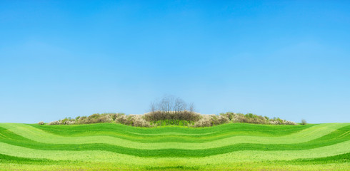 Summer nature landscape background with green field and beautiful sky, outdoor background for a Web site