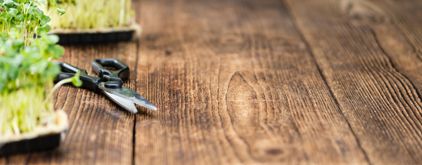 Portion of Fresh Cress (selective focus)