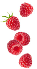 Isolated flying berries. Falling raspberry fruits isolated on white background with clipping path - obrazy, fototapety, plakaty