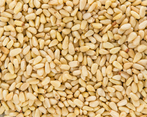 Pine Nuts (for use as background image)