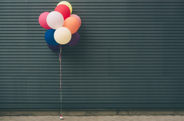 Multicolored, latex balloons filled with helium near the gray wall. , festive concept with a place for your text.