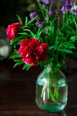Fototapeta premium A bouquet for a gift. Bouquet of purple peony
