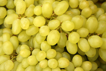grape to sale