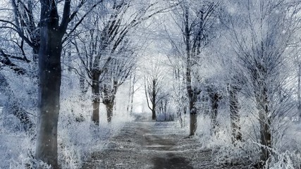 Plakat Alley and falling snow loop during winter