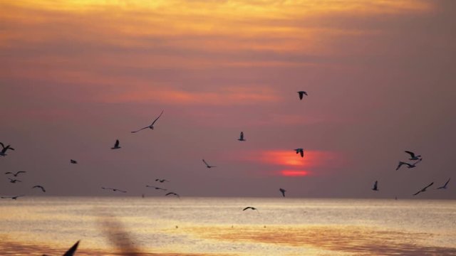Bang pu is the most popular vacation place of thailand at sunset:Tourists like to feed seagull and take pictures there.