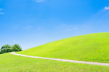 Obraz premium 夏の青空と緑の丘