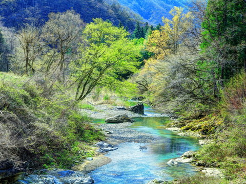 View from clear creeks 澄んだ小川の景色 View from clear creeks