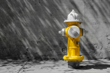 Fire Hydrant Charleston - Powered by Adobe
