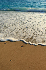 sand beach and tropical sea