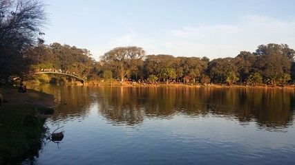 Vue generale parc ibirapuera rive gauche