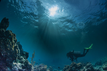 underwater seascapes