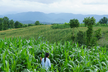 Into the natural touch