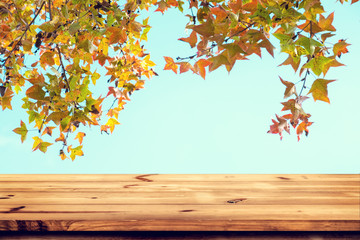 Naklejka na ściany i meble Top of wood table with beautiful autumn maple tree on sky background - Empty ready for your product display or montage. Concept of background in fall season.