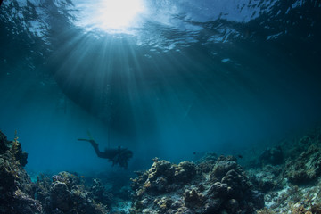 Fototapeta na wymiar underwater seascapes