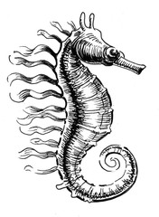 Seahorse