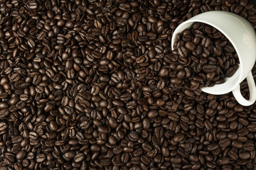 coffee bean texture  for background