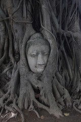 ayutthaya
