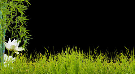 bordure d'herbes, de bambou et de lotus, fond noir 