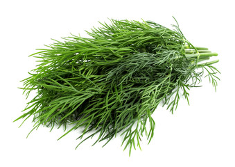 bunch fresh, green dill on a white background