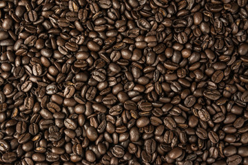 coffee bean texture  for background