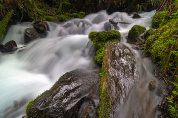 Fototapeta na wymiar Wahkeena Creek along Columbia River Gorge in Oregon