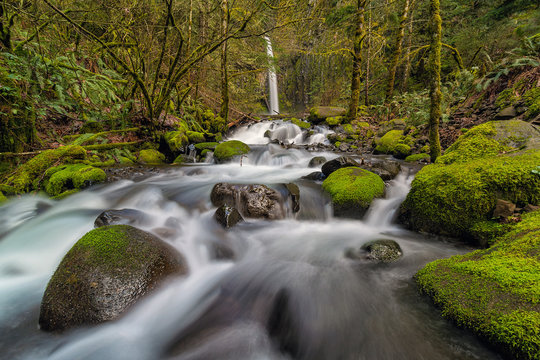 Dry Creek Falls In Oregon Springtime Season