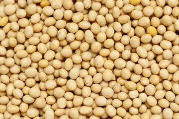 dry soy beans background