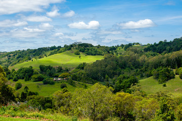 Fototapeta na wymiar Rural view of Australia cattle and farming on hill
