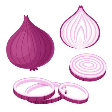 Red onion illustration set