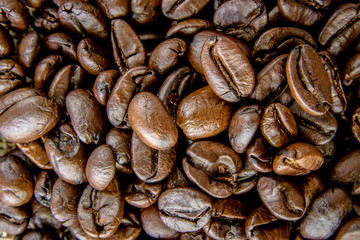 Roasted coffee beans