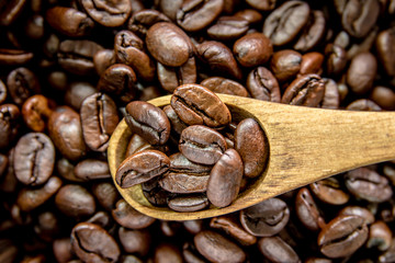 Roasted coffee beans on wooden spoon