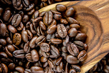 Roasted coffee beans on wooden spoon