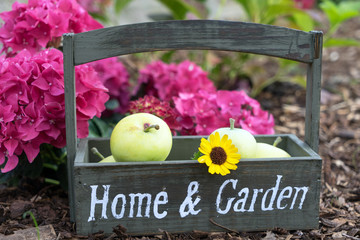 Gartenzeit / Kiste mit den Worten Home and Garden in einem Garten
