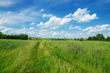 Sunny summer scene with ground countryside road