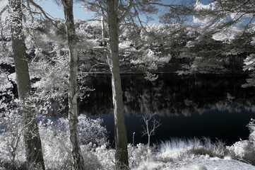 Beautiful false color surreal infrared landscape image of lake and surrounding forest