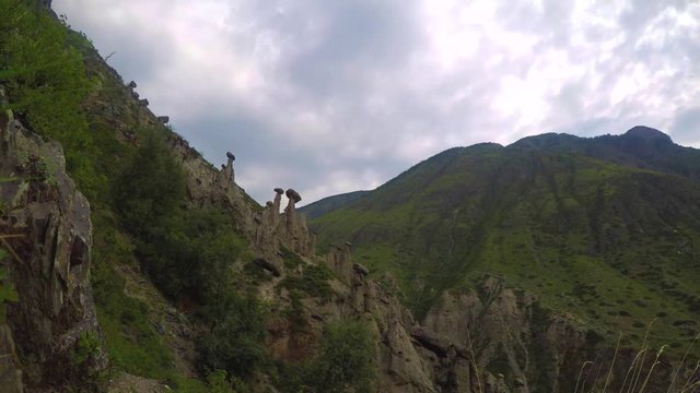Miracle Stone Mushrooms Montage, Sunset Time lapse