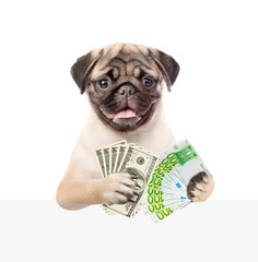 Dog peeking from behind empty board and holding dollars and euro. isolated on white background