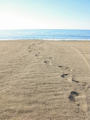 beach, wave and footprints at sunset time