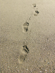 Footsteps on the beach by the sea in summer