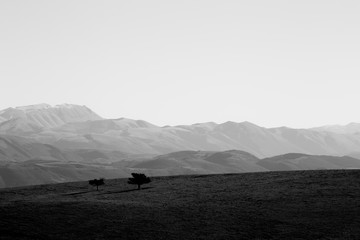 Minimalistyczne zdjęcie dwóch izolowanych małych drzew na szczycie góry, z kilkoma odległymi górami w tle i pustym niebem - 164424056