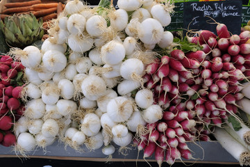 Radis roses et blancs