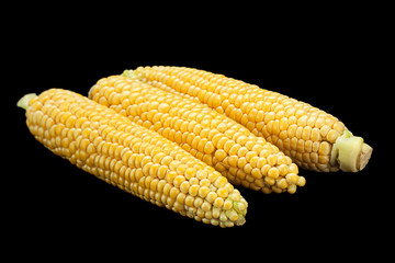 Raw sweet corn detail